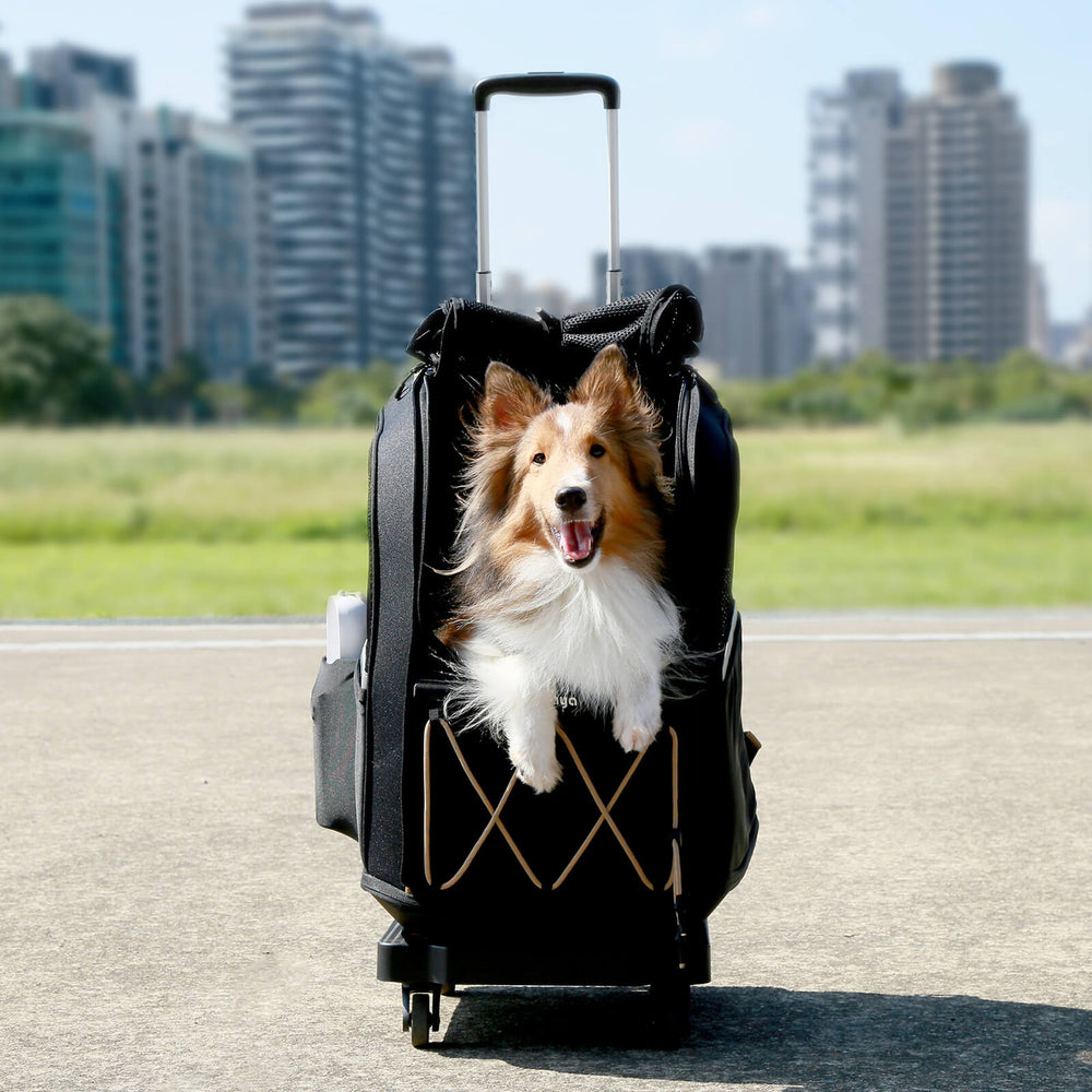 Folding Cart Trolley with Wheels