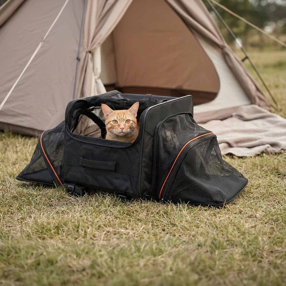 JetPaw Expandable In-Cabin Pet Carrier Backpack – Airline-Approved Travel Backpack for Dogs & Cats