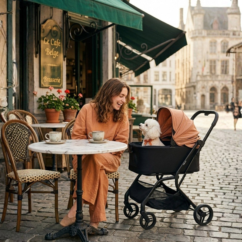 HUE‑GO Detachable Pet Stroller & Capsule