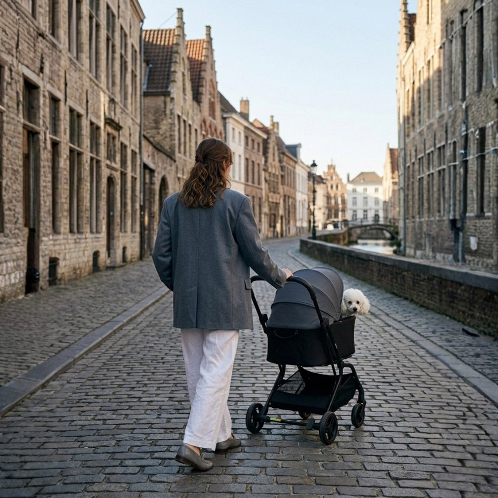 HUE‑GO Detachable Pet Stroller & Capsule