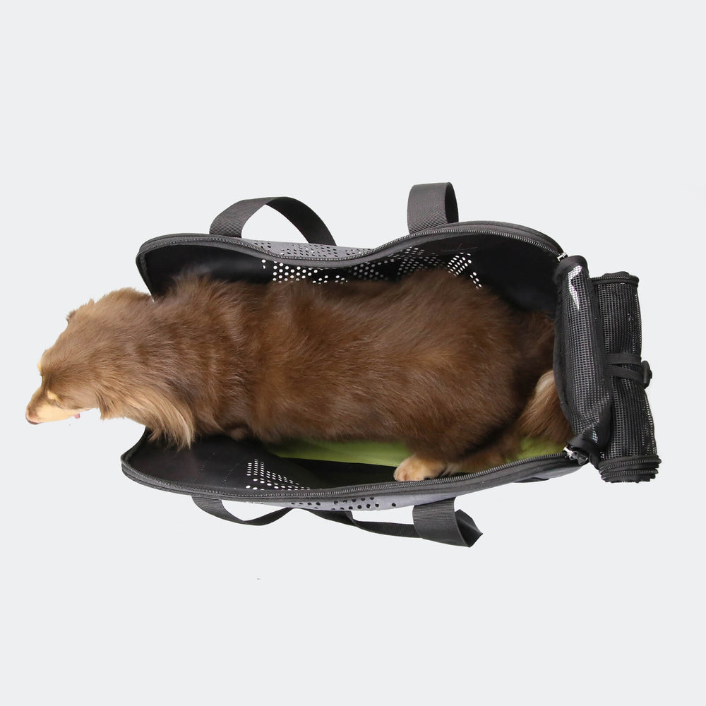 Dachshund Breezy Wanderer Fur-Free Pet Tote Bag