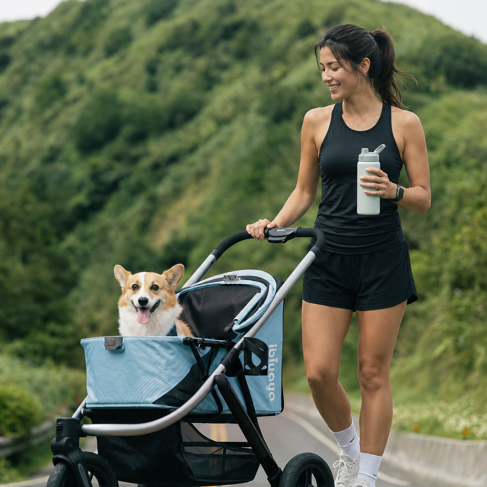 The Beast Pet Jogging Stroller, 3-Wheel All-Terrain Dog-Cat Pram