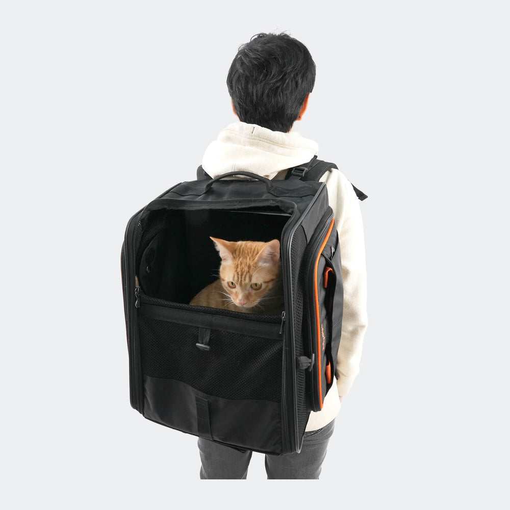JetPaw: 3-in-One Pet Stroller with Detachable Airline-Approved Carrier