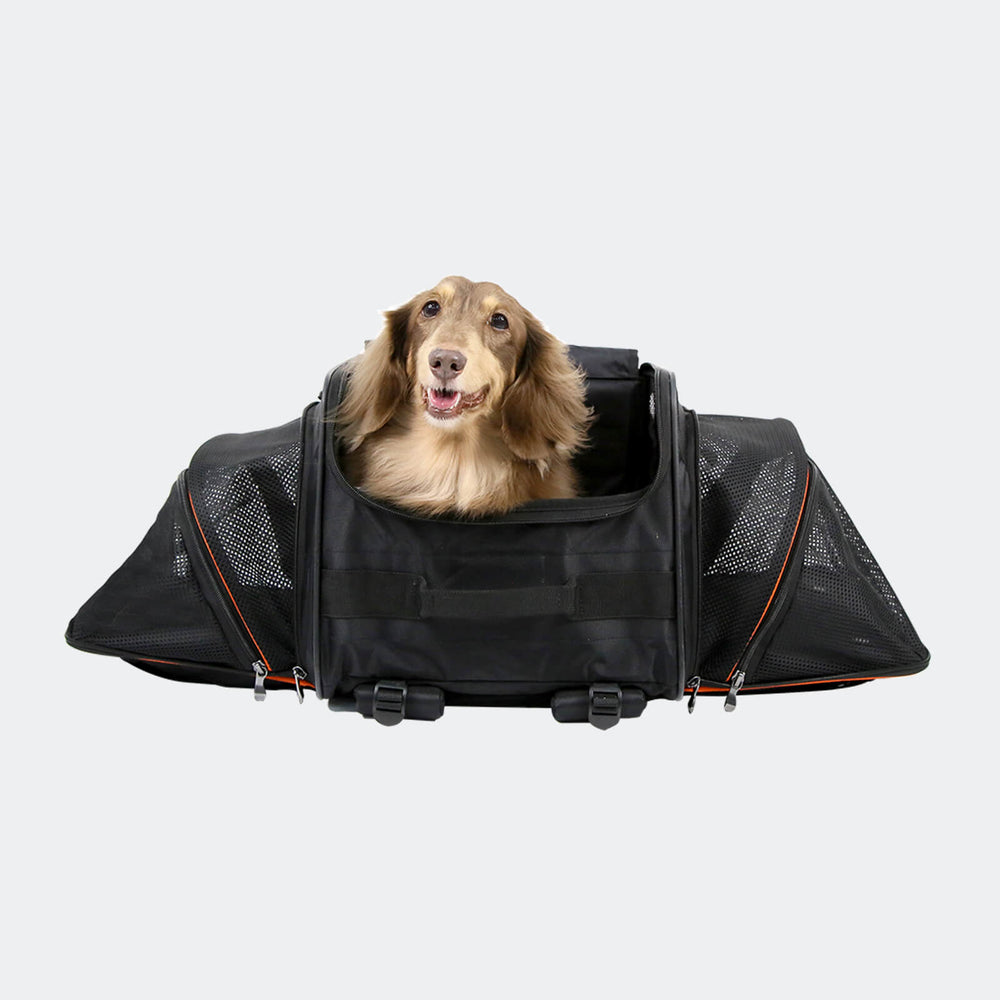JetPaw: 3-in-One Pet Stroller with Detachable Airline-Approved Carrier