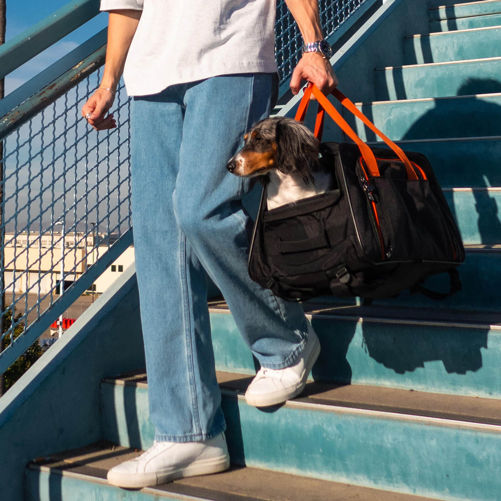 JetPaw: 3-in-One Pet Stroller with Detachable Airline-Approved Carrier