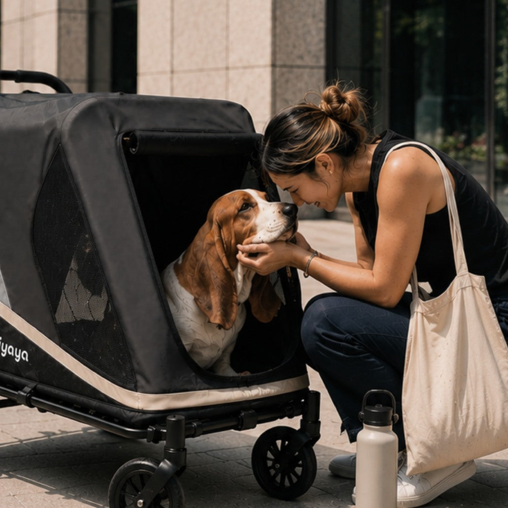 Grand Cruiser Large Dog Stroller, 4-Wheel Dog Pram for Large Breeds, Senior & Injured Pets