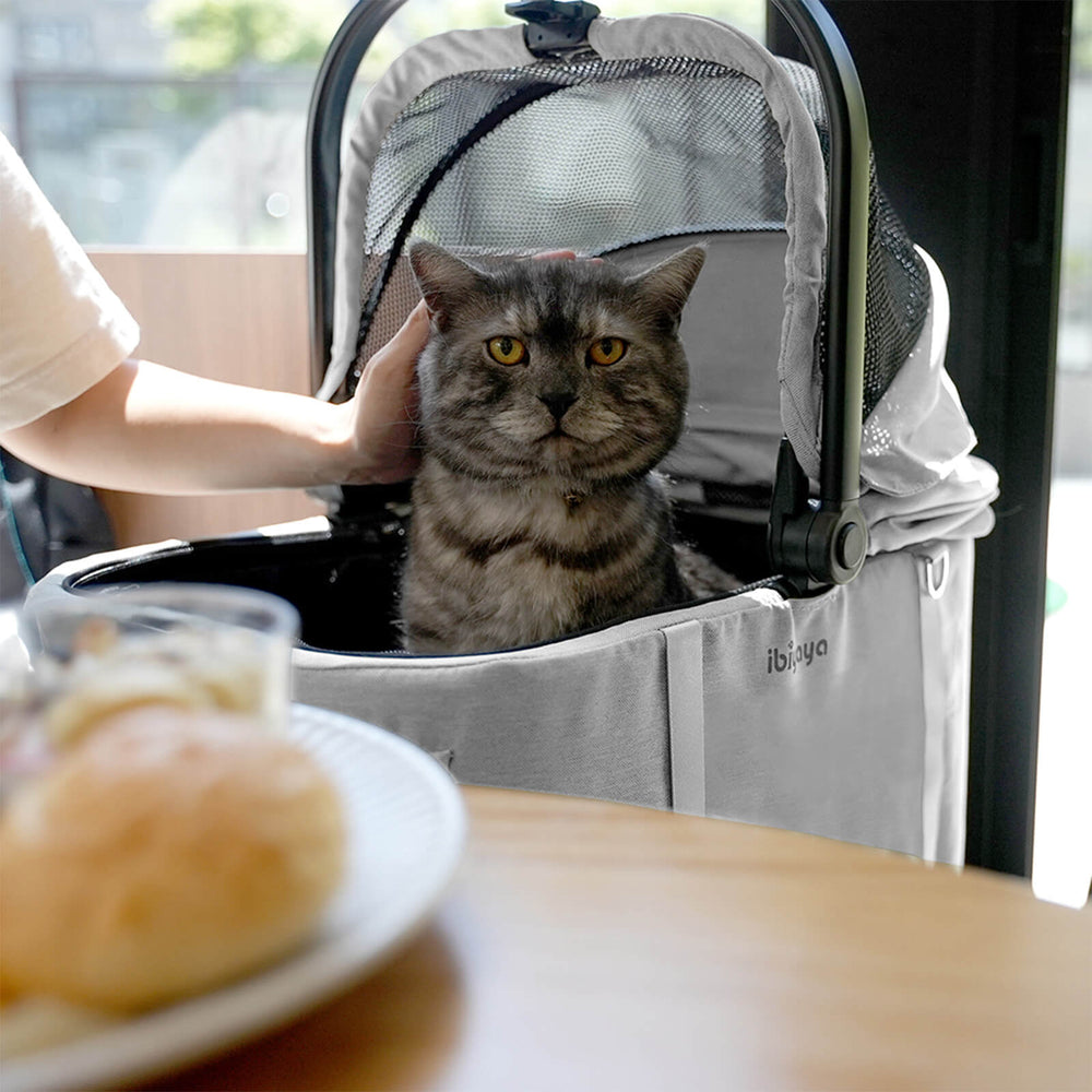 (Open-box item) Tinker Small Detachable Pet Stroller – Compact Buggy for Cats & Small Dogs