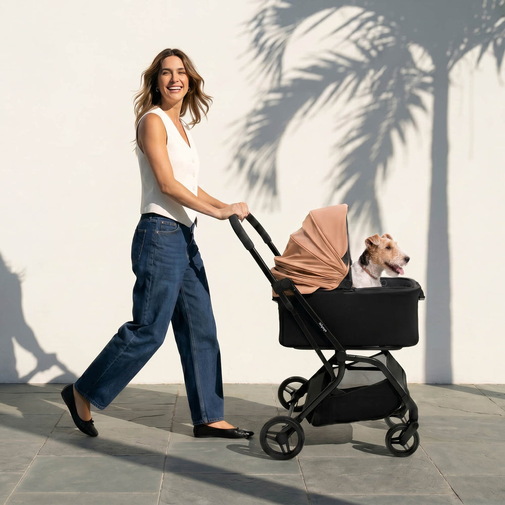 HUE‑GO Detachable Pet Stroller & Capsule