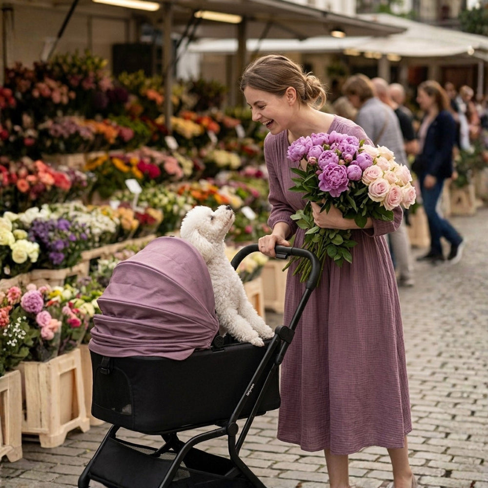 HUE‑GO Detachable Pet Stroller & Capsule