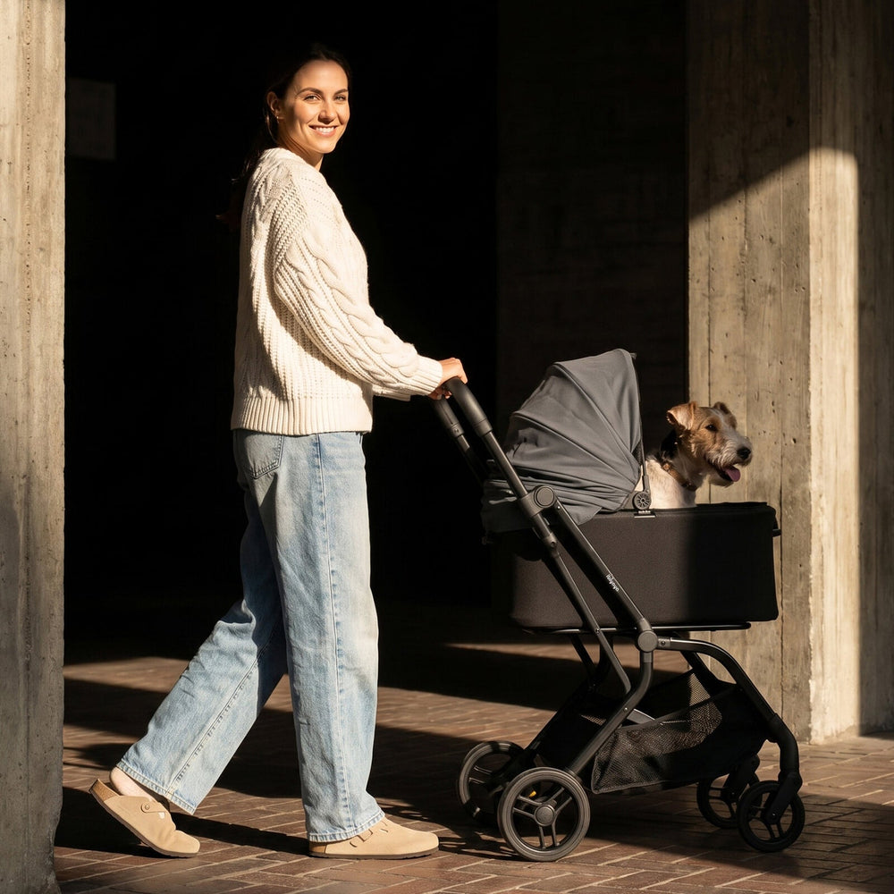HUE‑GO Detachable Pet Stroller & Capsule