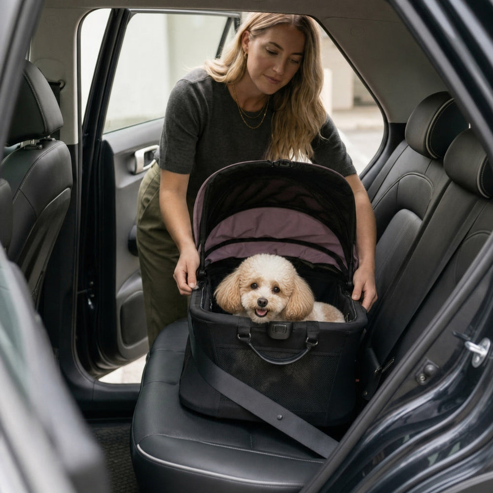 HUE‑GO Detachable Pet Stroller & Capsule